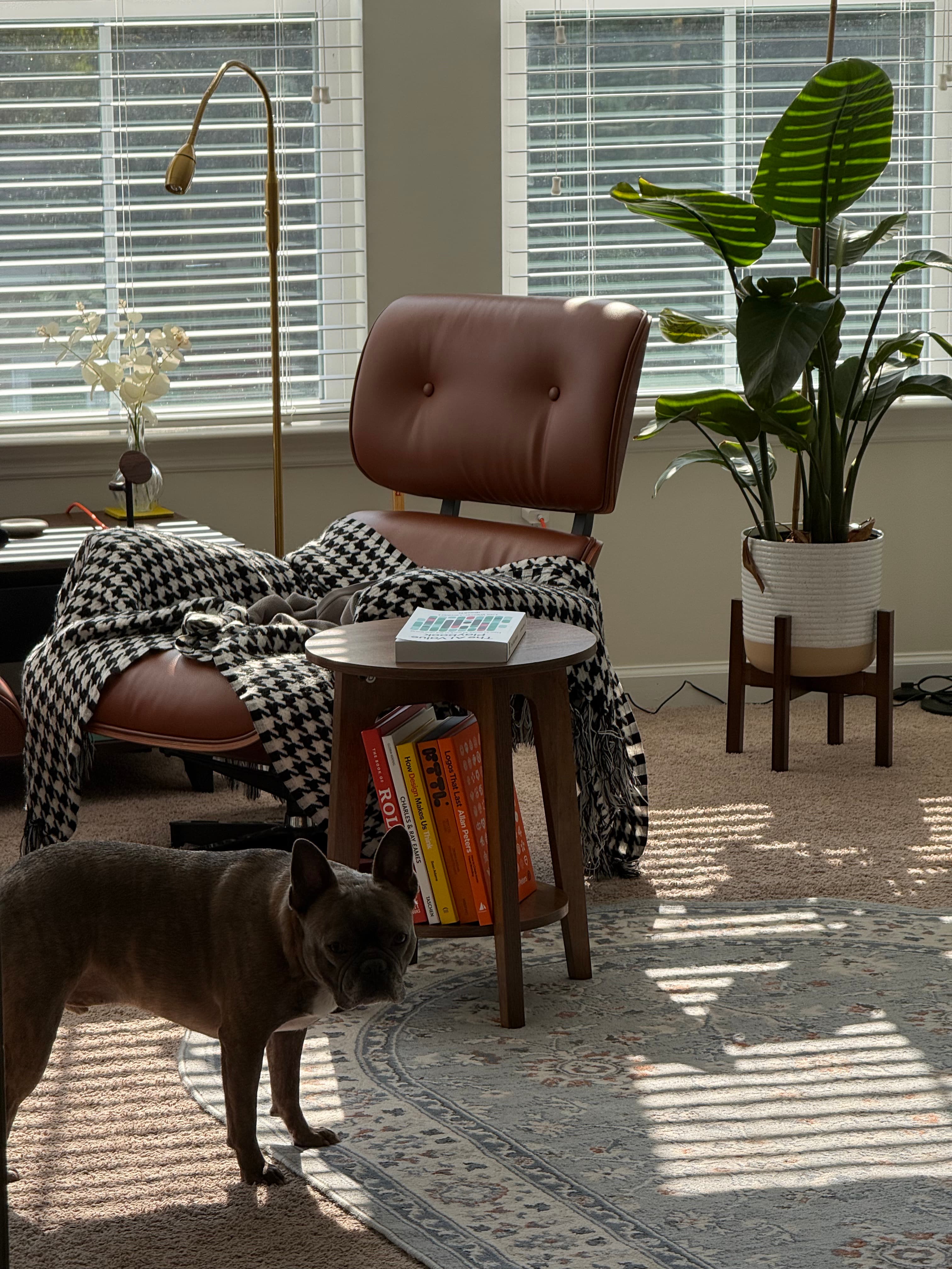 Eames chair with houndstooth throw and books in natural light — the Maai Services studio